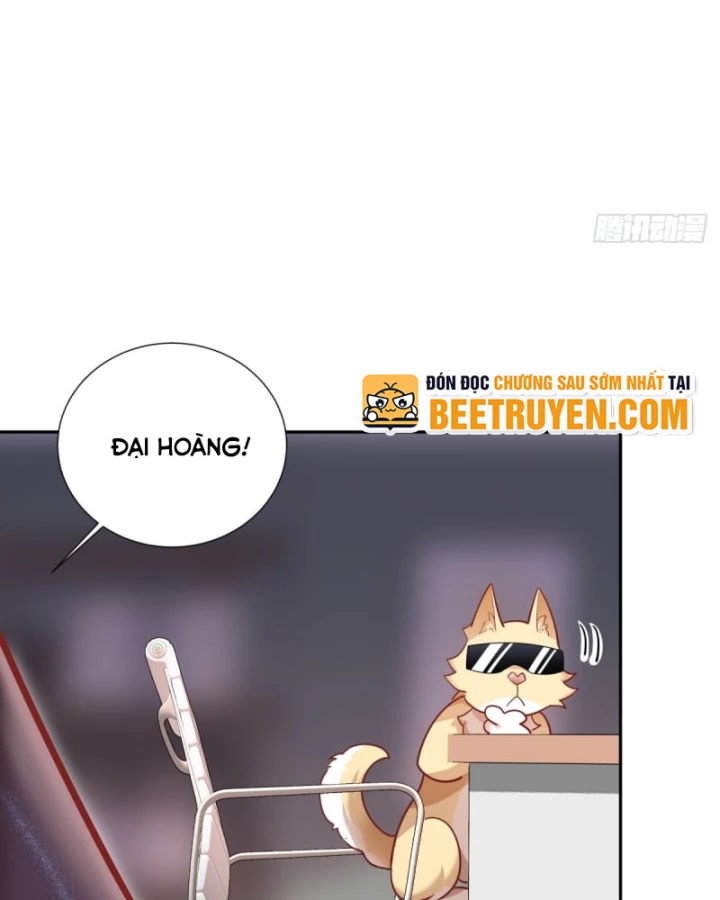 Kế Hoạch Nuôi Dưỡng Streamer Của Cẩu Hoàng Chapter 5 - Trang 2