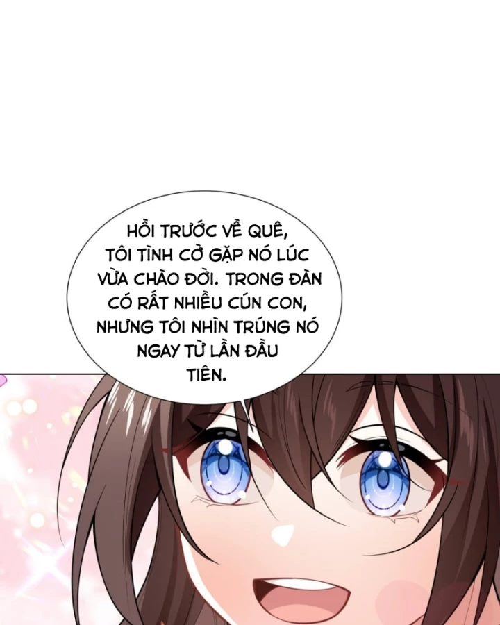 Kế Hoạch Nuôi Dưỡng Streamer Của Cẩu Hoàng Chapter 5 - Trang 2