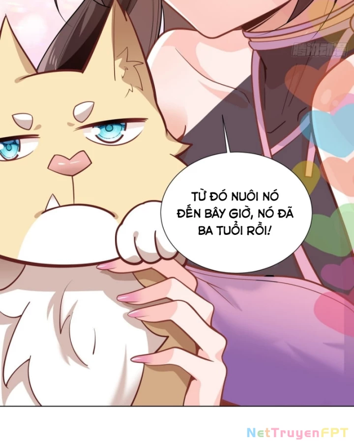 Kế Hoạch Nuôi Dưỡng Streamer Của Cẩu Hoàng Chapter 5 - Trang 2