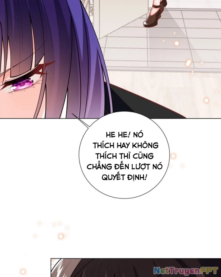 Kế Hoạch Nuôi Dưỡng Streamer Của Cẩu Hoàng Chapter 7 - Trang 2