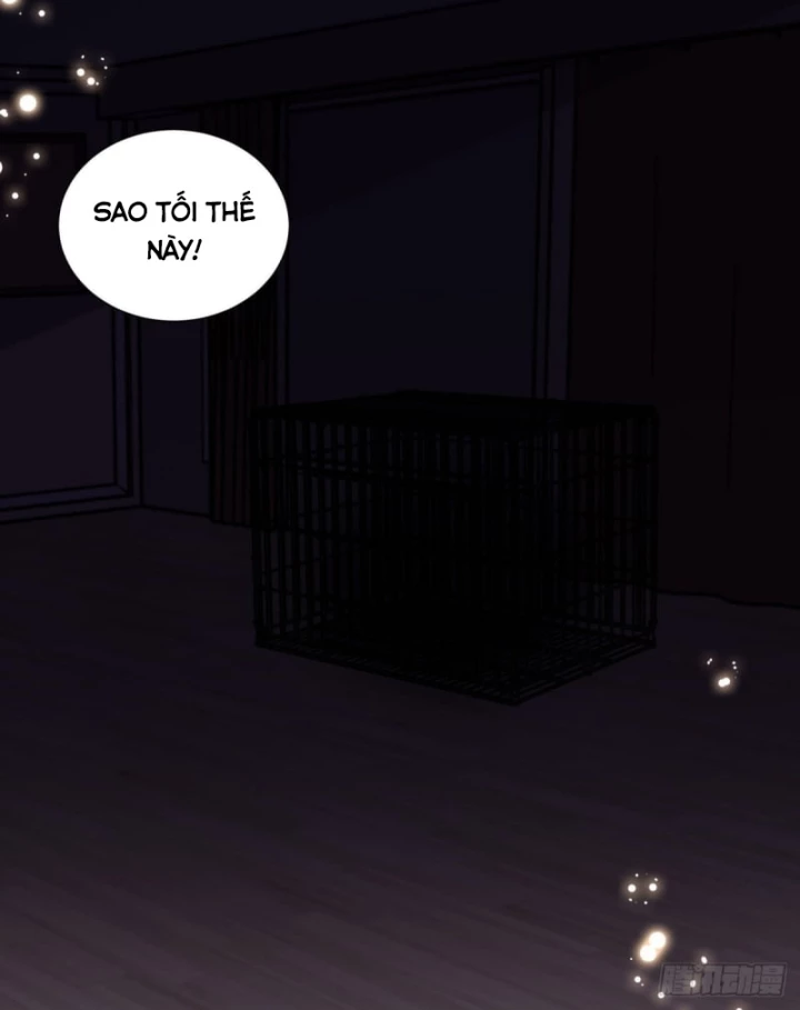 Kế Hoạch Nuôi Dưỡng Streamer Của Cẩu Hoàng Chapter 10 - Trang 2