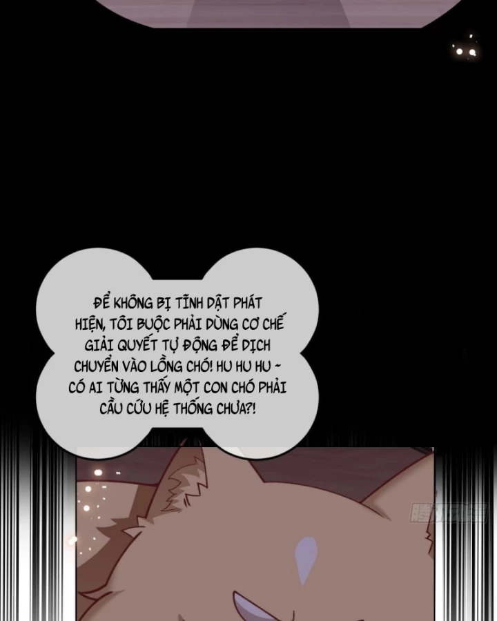 Kế Hoạch Nuôi Dưỡng Streamer Của Cẩu Hoàng Chapter 10 - Trang 2