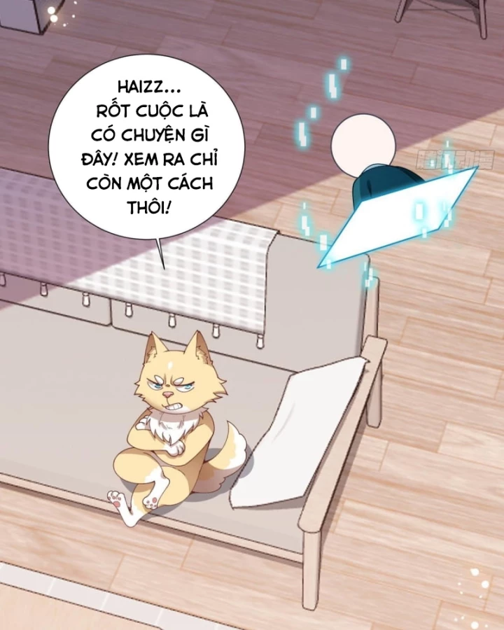 Kế Hoạch Nuôi Dưỡng Streamer Của Cẩu Hoàng Chapter 11 - Trang 2