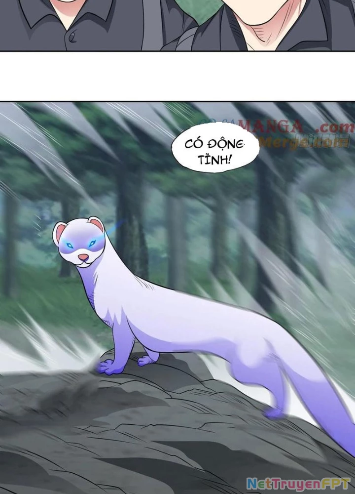Ngự Thần Trùng Sinh Chapter 98 - 54
