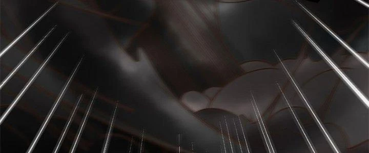 Trên Người Ta Có Một Cái Cây Thần Thoại Chapter 12 - 36