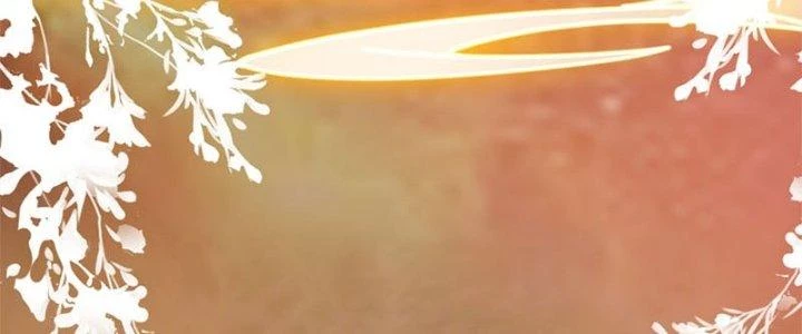 Trên Người Ta Có Một Cái Cây Thần Thoại Chapter 29 - 11