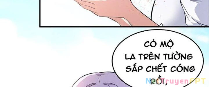 Trên Người Ta Có Một Cái Cây Thần Thoại Chapter 38 - 40