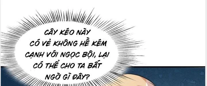 Trên Người Ta Có Một Cái Cây Thần Thoại Chapter 39 - 84
