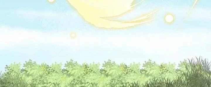 Trên Người Ta Có Một Cái Cây Thần Thoại Chapter 47 - 55
