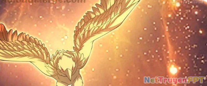 Trên Người Ta Có Một Cái Cây Thần Thoại Chapter 49 - 78