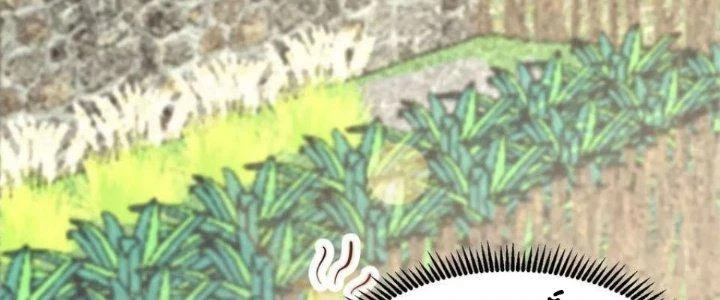 Trên Người Ta Có Một Cái Cây Thần Thoại Chapter 50 - 96
