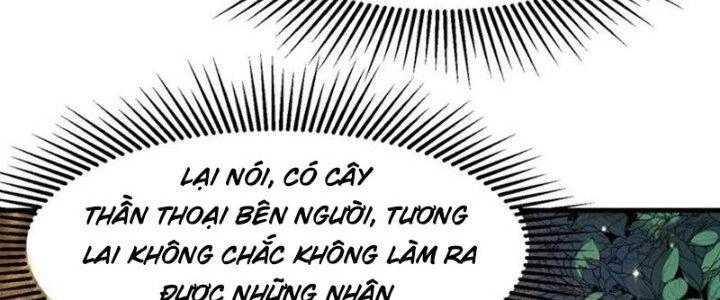 Trên Người Ta Có Một Cái Cây Thần Thoại Chapter 56 - 15