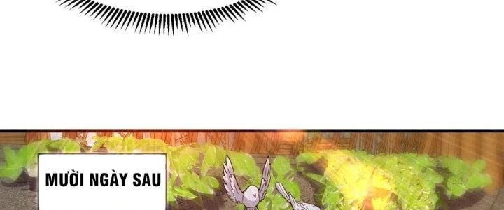 Trên Người Ta Có Một Cái Cây Thần Thoại Chapter 59 - 35