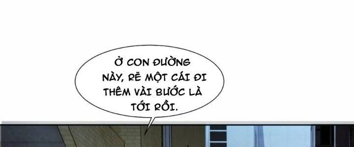 Ta Phổ Cập Tu Tiên Cho Thế Giới Chapter 11 - 80