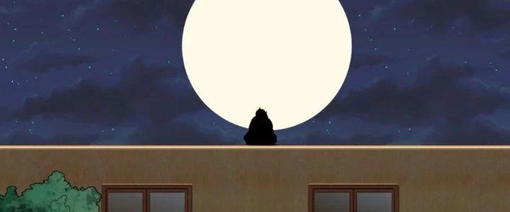 Ta Phổ Cập Tu Tiên Cho Thế Giới Chapter 11 - 96