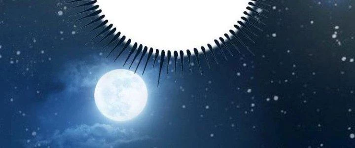 Thành Tựu Của Ta Rất Nhiều Chapter 42 - 179