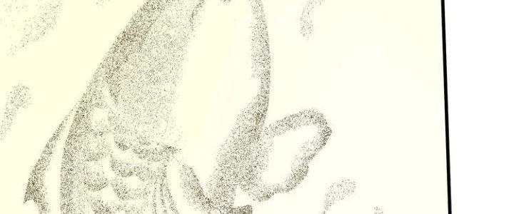 Thành Tựu Của Ta Rất Nhiều Chapter 84 - 39