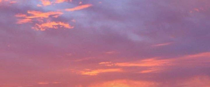Thành Tựu Của Ta Rất Nhiều Chapter 92 - 28