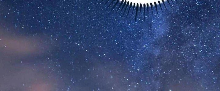 Thành Tựu Của Ta Rất Nhiều Chapter 115 - 146