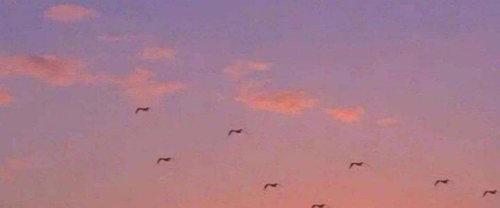 Thành Tựu Của Ta Rất Nhiều Chapter 119 - 56