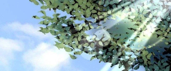 Thành Tựu Của Ta Rất Nhiều Chapter 119 - 166
