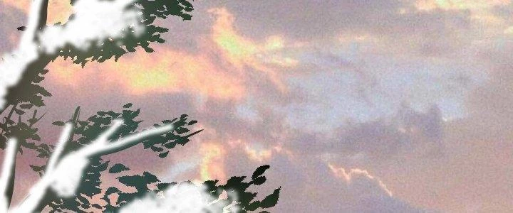 Thành Tựu Của Ta Rất Nhiều Chapter 158 - 92
