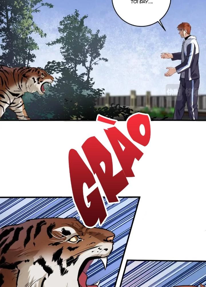 Thành Tựu Của Ta Rất Nhiều Chapter 168 - 11