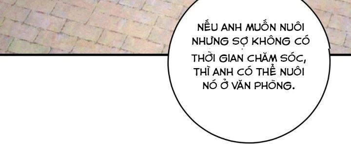 Thành Tựu Của Ta Rất Nhiều Chapter 169 - 222