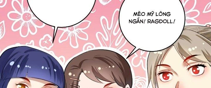 Thành Tựu Của Ta Rất Nhiều Chapter 170 - 182