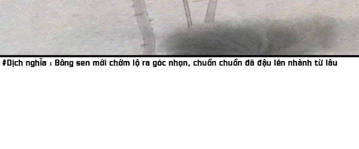 Thành Tựu Của Ta Rất Nhiều Chapter 224 - 214