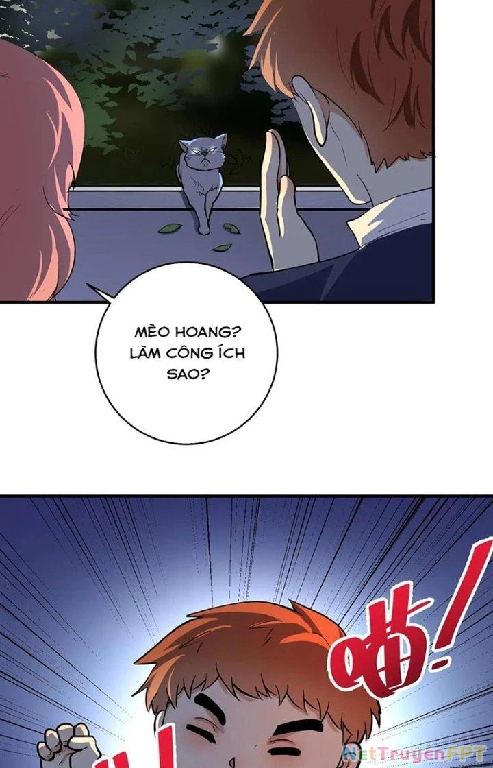 Thành Tựu Của Ta Rất Nhiều Chapter 235 - 49