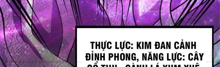 Nguyên Lai Ta Là Chí Tôn Tiên Giới Chapter 13 - 317