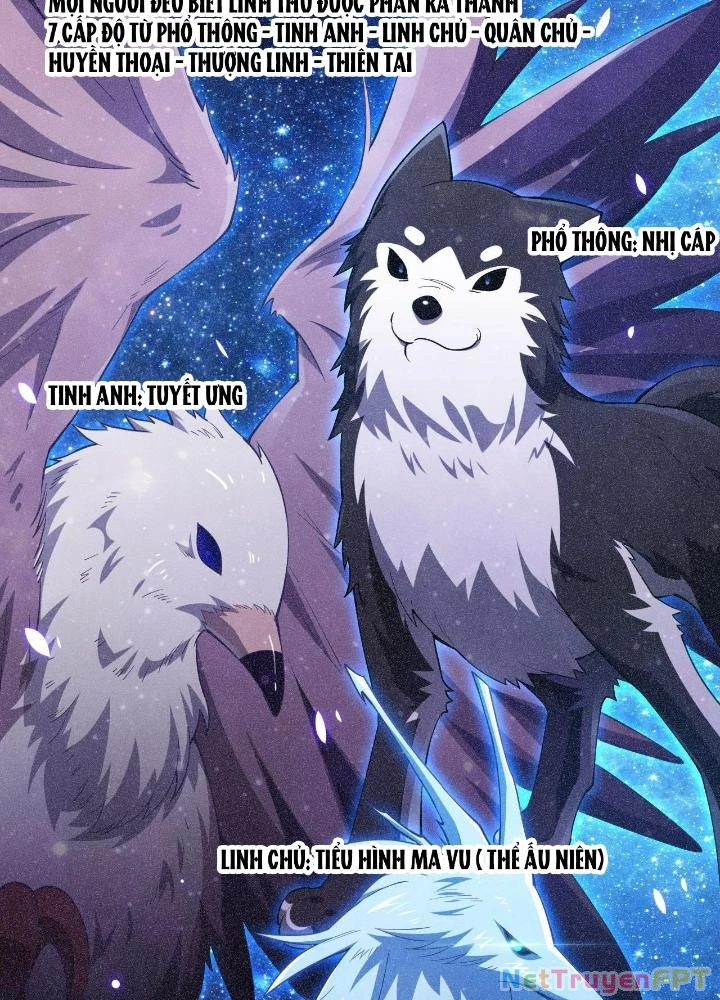 Ta Đến Từ Thời Không Chapter 14 - 29