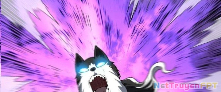 Ta Đến Từ Thời Không Chapter 17 - 238