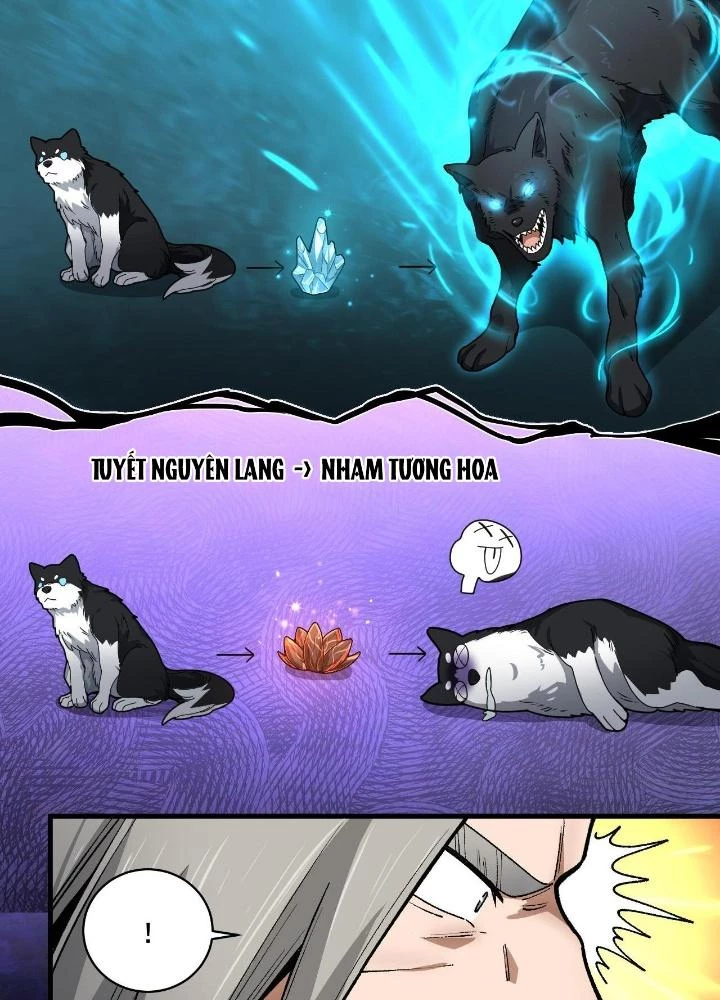 Ta Đến Từ Thời Không Chapter 25 - 19