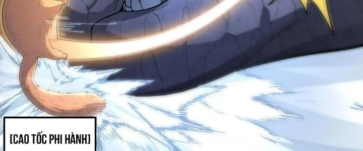 Ta Đến Từ Thời Không Chapter 43 - 244