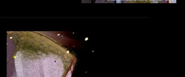 Trùng Sinh Thành Chó, Ta Thành Yêu Tôn Một Phương Chapter 3 - 11