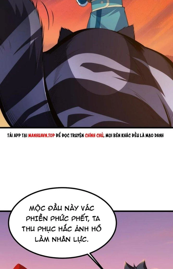 Ta Chỉ Muốn Bị Các Vị Đánh Chết Chapter 166 - 14
