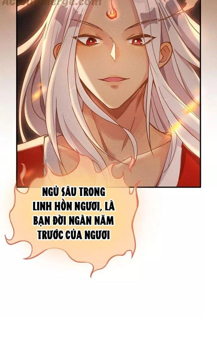 Ta Vô Địch Nhờ Siêu Béo Chapter 16 - 9