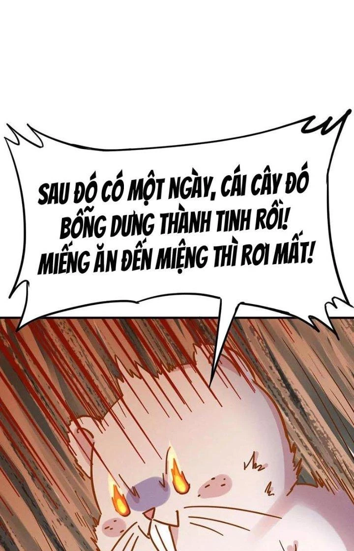 Ta Vô Địch Nhờ Siêu Béo Chapter 37 - 45