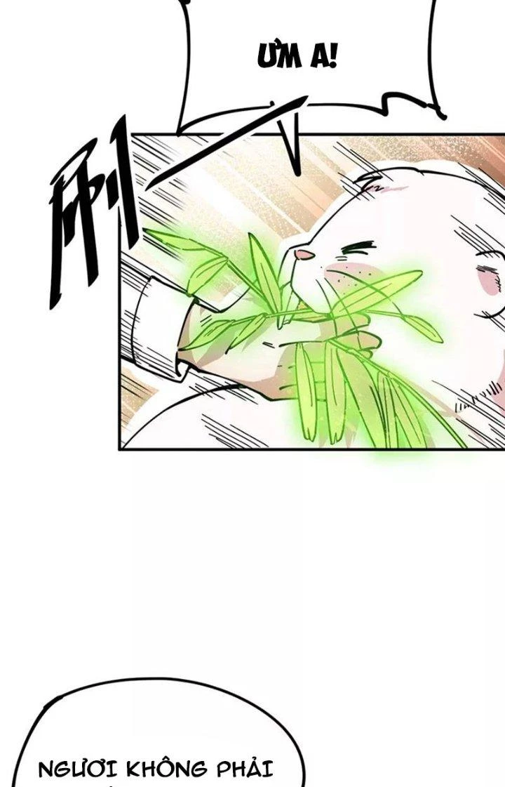 Ta Vô Địch Nhờ Siêu Béo Chapter 43 - 31