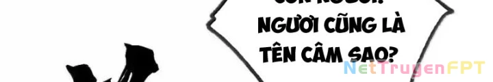 Chặt Củi 10 Năm, Tiên Tử Cầu Xin Ta Thu Nàng Làm Đồ Đệ Chapter 110 - 65
