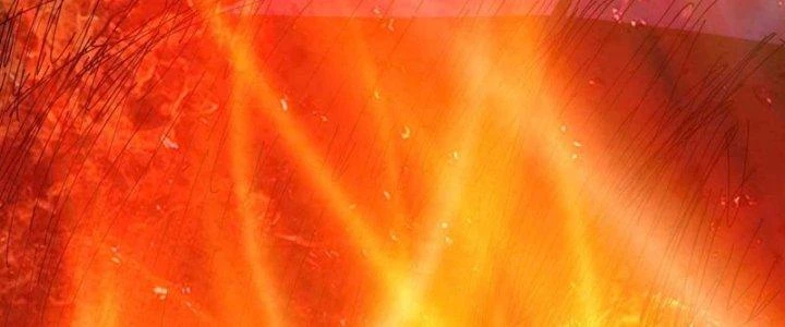 Ta Thật Sự Không Phải Là Cái Thế Cao Nhân Chapter 49 - 31