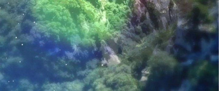 Đại Đường: Võ Thần Group Chat Chapter 53 - 51