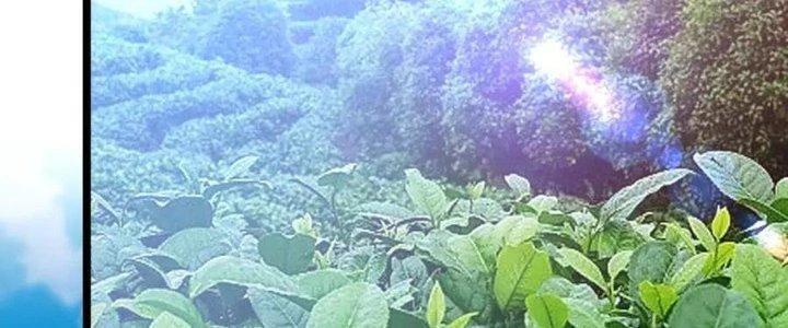 Đại Đường: Võ Thần Group Chat Chapter 56 - 67