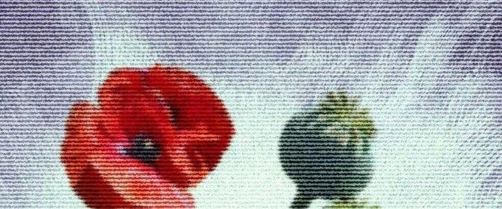 Đại Đường: Võ Thần Group Chat Chapter 57 - 166