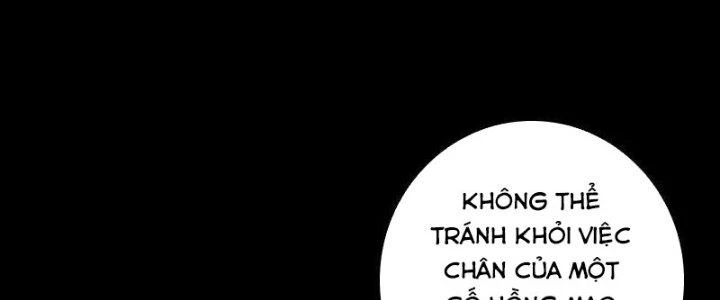 Trường Sinh Đạo Chapter 51 - 70