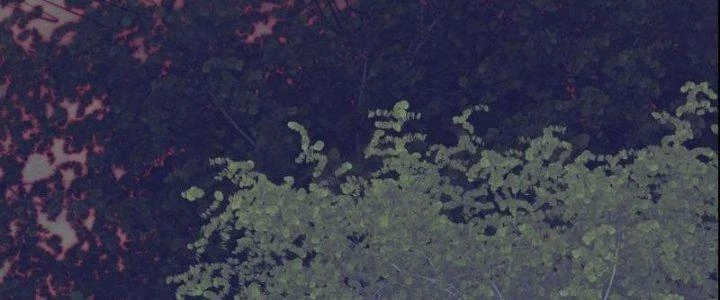 Trường Sinh Đạo Chapter 59 - 78