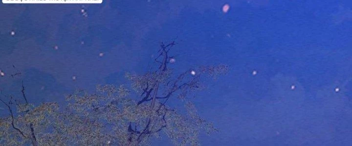 Trường Sinh Đạo Chapter 61 - 43
