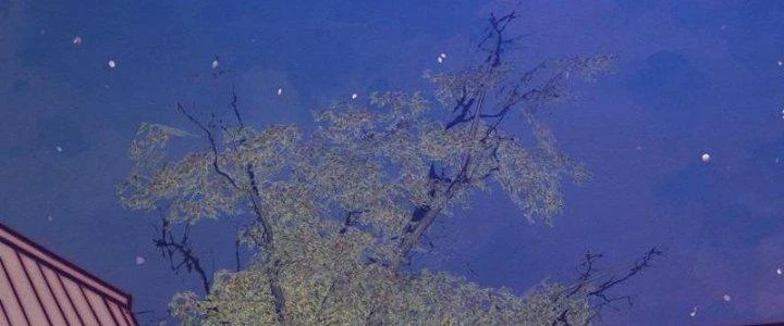 Trường Sinh Đạo Chapter 73 - 63
